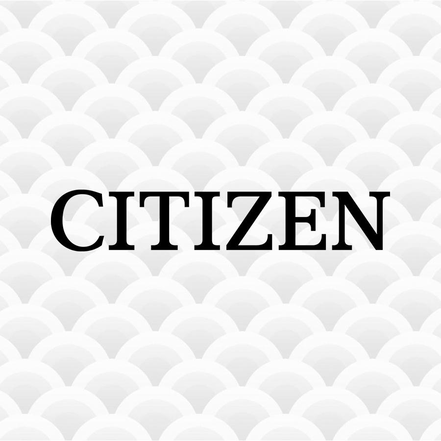 Bracelet/Strap for Citizen Watches